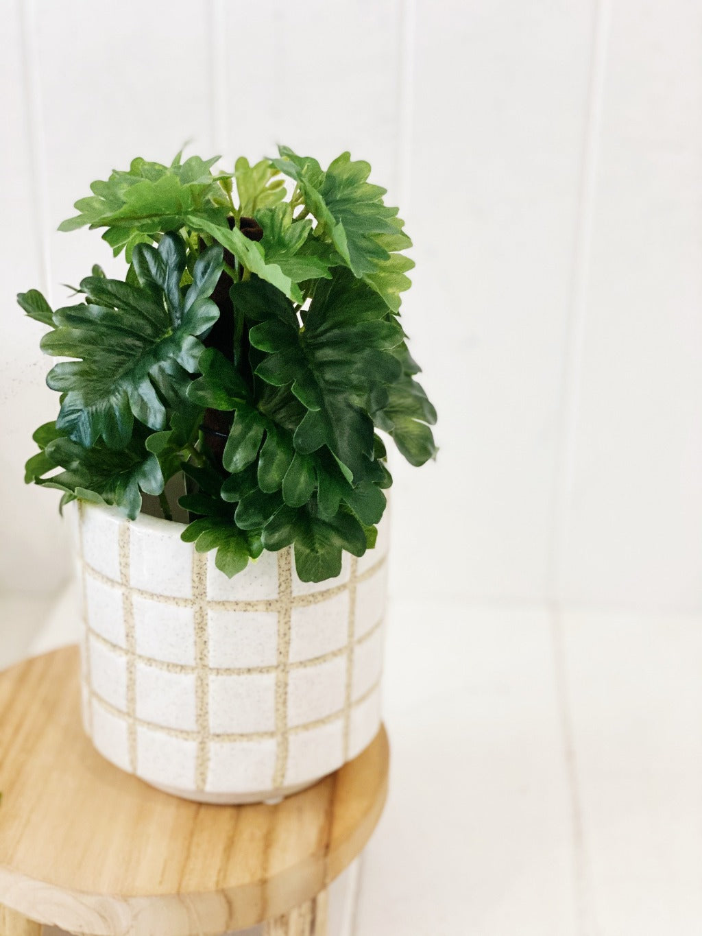 Liven up your indoor spaces with our Artificial Monstera &amp; Philodendron in cement look Pot. Perfect for a windowsill display or adding a splash of green to a bathroom or bedroom, without the hassle of maintenance. Approx: 25cm.| Bliss Gifts &amp; Homewares | Unit 8, 259 Princes Hwy Ulladulla | South Coast NSW | Online Retail Gift &amp; Homeware Shopping | 0427795959, 44541523