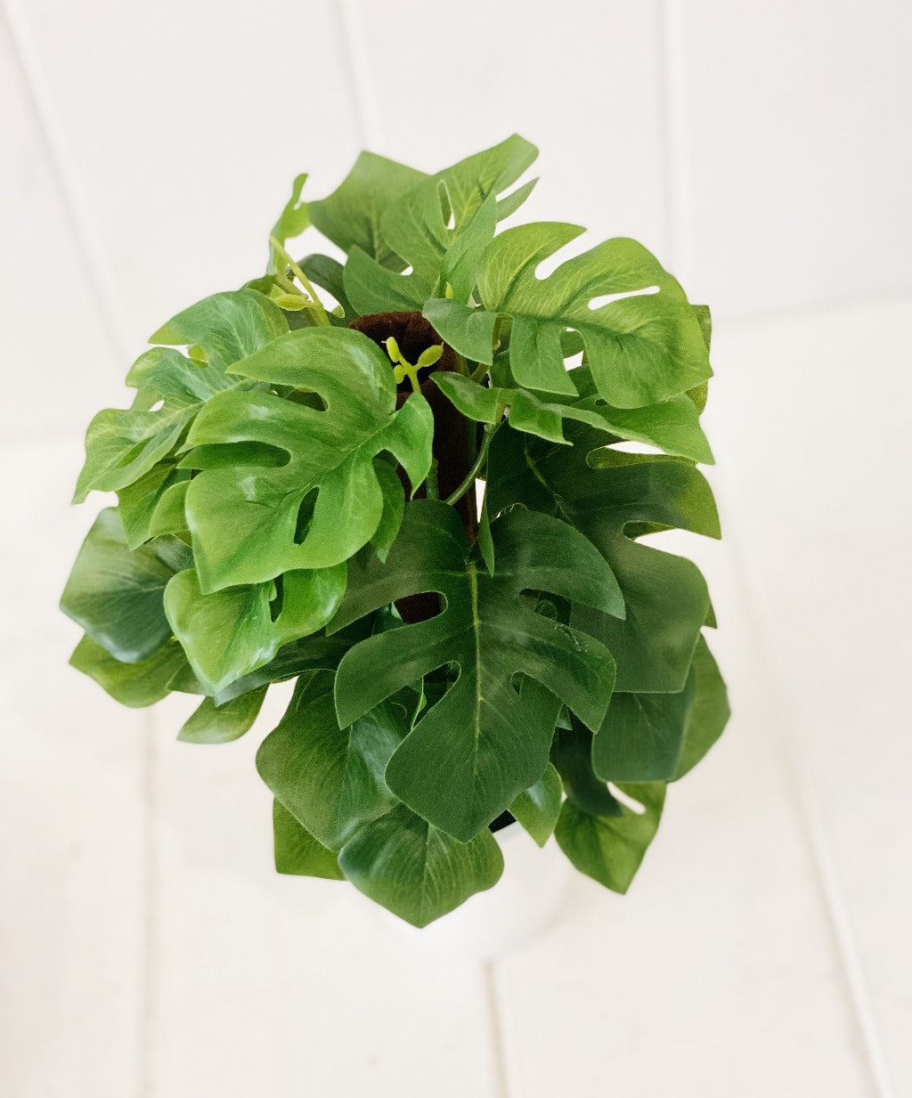 artificial philodendron monstera Artificial Monstera & Philodendron in Pot
