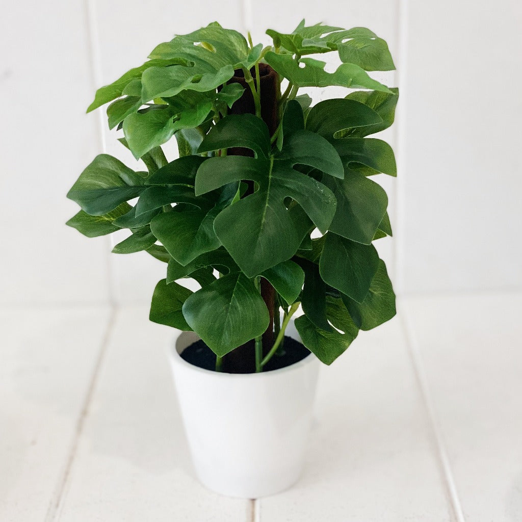 Liven up your indoor spaces with our Artificial Monstera &amp; Philodendron in cement look Pot. Perfect for a windowsill display or adding a splash of green to a bathroom or bedroom, without the hassle of maintenance. Approx: 25cm.| Bliss Gifts &amp; Homewares | Unit 8, 259 Princes Hwy Ulladulla | South Coast NSW | Online Retail Gift &amp; Homeware Shopping | 0427795959, 44541523