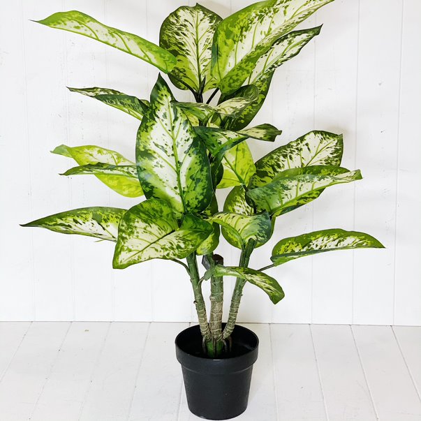 Liven up your indoor spaces with our Artificial Potted Dumb Cane. Perfect for a display or adding a splash of green to a bathroom or bedroom, without the hassle of maintenance. Approx: 93cm tall.| Bliss Gifts &amp; Homewares | Unit 8, 259 Princes Hwy Ulladulla | South Coast NSW | Online Retail Gift &amp; Homeware Shopping | 0427795959, 44541523