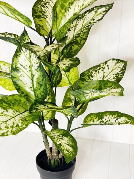 Liven up your indoor spaces with our Artificial Potted Dumb Cane. Perfect for a display or adding a splash of green to a bathroom or bedroom, without the hassle of maintenance. Approx: 93cm tall.| Bliss Gifts &amp; Homewares | Unit 8, 259 Princes Hwy Ulladulla | South Coast NSW | Online Retail Gift &amp; Homeware Shopping | 0427795959, 44541523