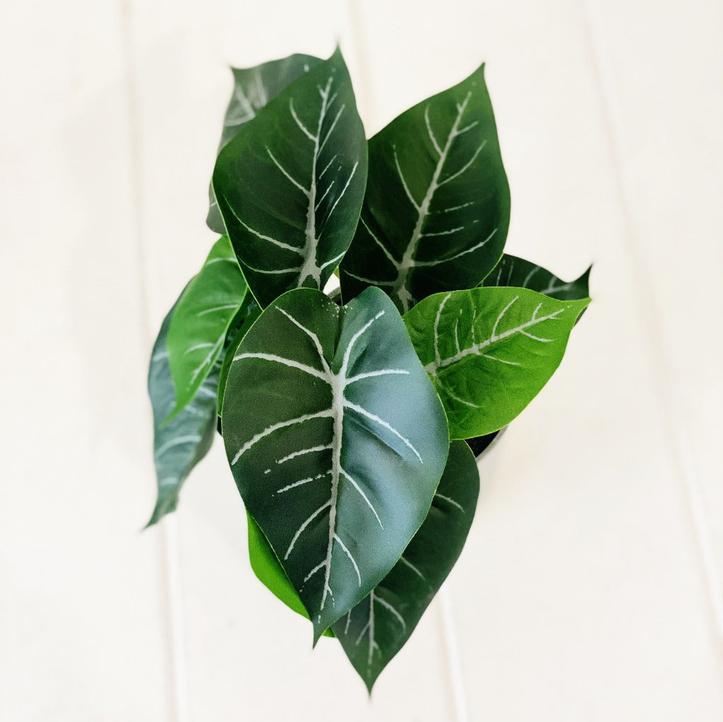 Liven up your indoor spaces with our Artificial Syngonium &amp; Pilea in a cement look Pot. Perfect for a windowsill display or adding a splash of green to a bathroom or bedroom, without the hassle of maintenance. Approx: 17cm.| Bliss Gifts &amp; Homewares | Unit 8, 259 Princes Hwy Ulladulla | South Coast NSW | Online Retail Gift &amp; Homeware Shopping | 0427795959, 44541523