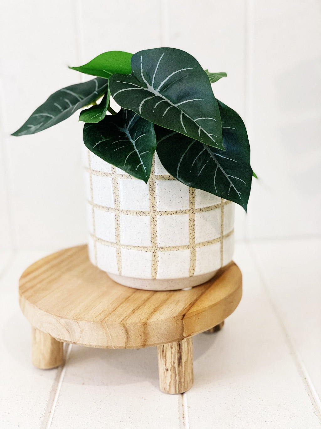 Liven up your indoor spaces with our Artificial Syngonium &amp; Pilea in a cement look Pot. Perfect for a windowsill display or adding a splash of green to a bathroom or bedroom, without the hassle of maintenance. Approx: 17cm.| Bliss Gifts &amp; Homewares | Unit 8, 259 Princes Hwy Ulladulla | South Coast NSW | Online Retail Gift &amp; Homeware Shopping | 0427795959, 44541523