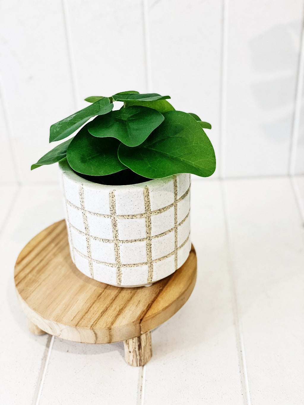 Liven up your indoor spaces with our Artificial Syngonium &amp; Pilea in a cement look Pot. Perfect for a windowsill display or adding a splash of green to a bathroom or bedroom, without the hassle of maintenance. Approx: 17cm.| Bliss Gifts &amp; Homewares | Unit 8, 259 Princes Hwy Ulladulla | South Coast NSW | Online Retail Gift &amp; Homeware Shopping | 0427795959, 44541523