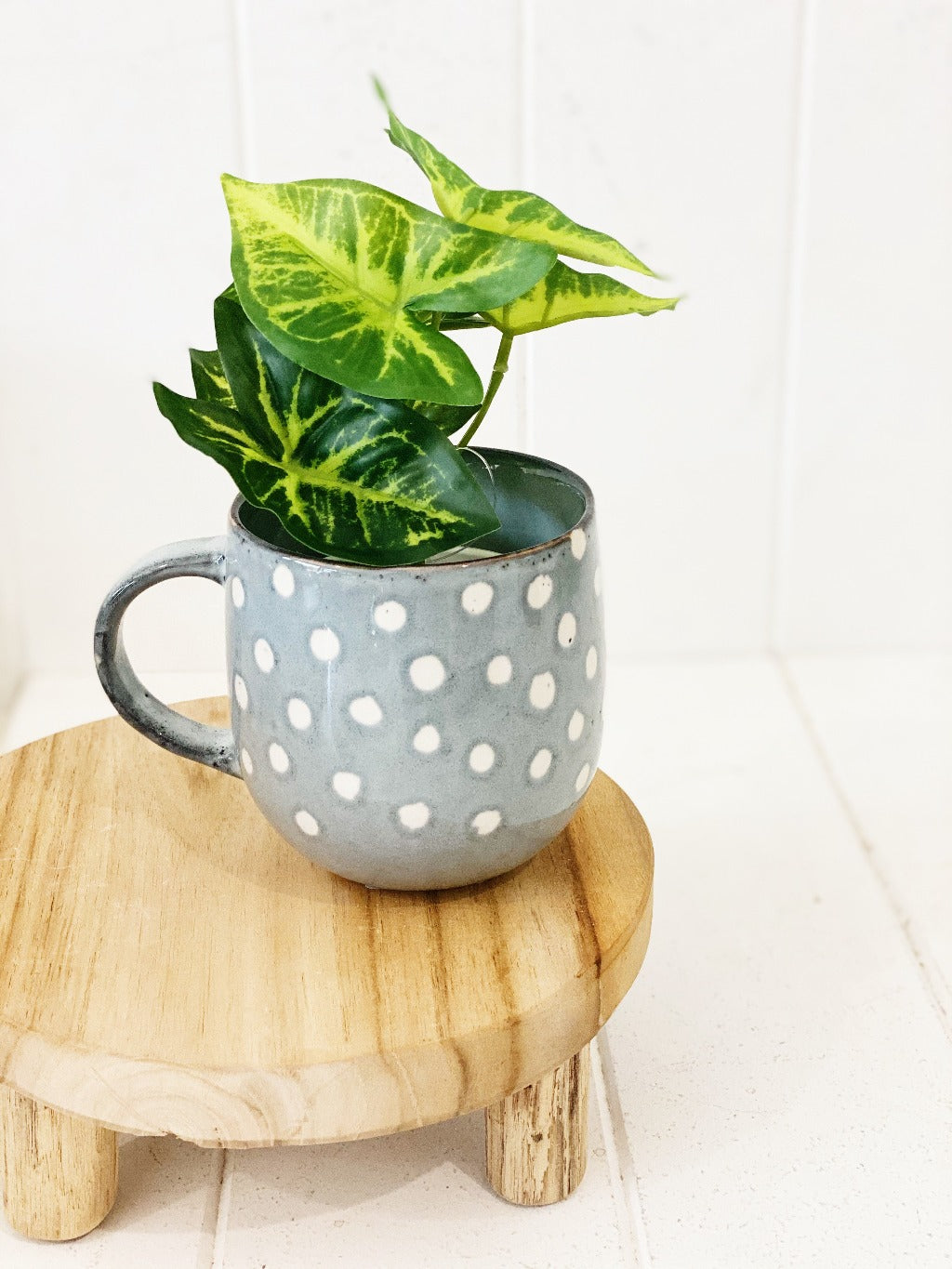 Liven up your indoor spaces with our Artificial Taro &amp; Lotus in White Pot. Perfect for a windowsill display or adding a splash of green to a bathroom or bedroom, without the hassle of maintenance. Approx: 15cm.| Bliss Gifts &amp; Homewares | Unit 8, 259 Princes Hwy Ulladulla | South Coast NSW | Online Retail Gift &amp; Homeware Shopping | 0427795959, 44541523