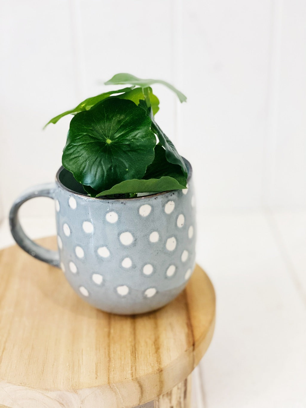 Liven up your indoor spaces with our Artificial Taro &amp; Lotus in White Pot. Perfect for a windowsill display or adding a splash of green to a bathroom or bedroom, without the hassle of maintenance. Approx: 15cm.| Bliss Gifts &amp; Homewares | Unit 8, 259 Princes Hwy Ulladulla | South Coast NSW | Online Retail Gift &amp; Homeware Shopping | 0427795959, 44541523