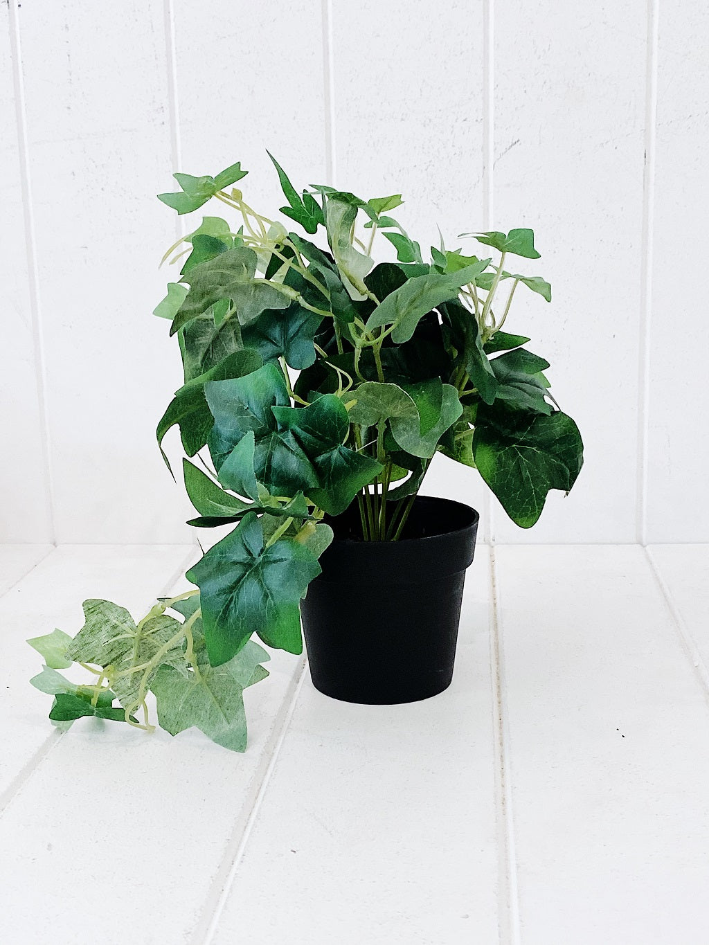 Liven up your indoor spaces with our Artificial Trailing Greenery in Pot. They cascade over an edge or tumble from the pot in a hanging basket, softening hard edges and adding colour and texture. Approx: 38cm.| Bliss Gifts &amp; Homewares | Unit 8, 259 Princes Hwy Ulladulla | South Coast NSW | Online Retail Gift &amp; Homeware Shopping | 0427795959, 44541523