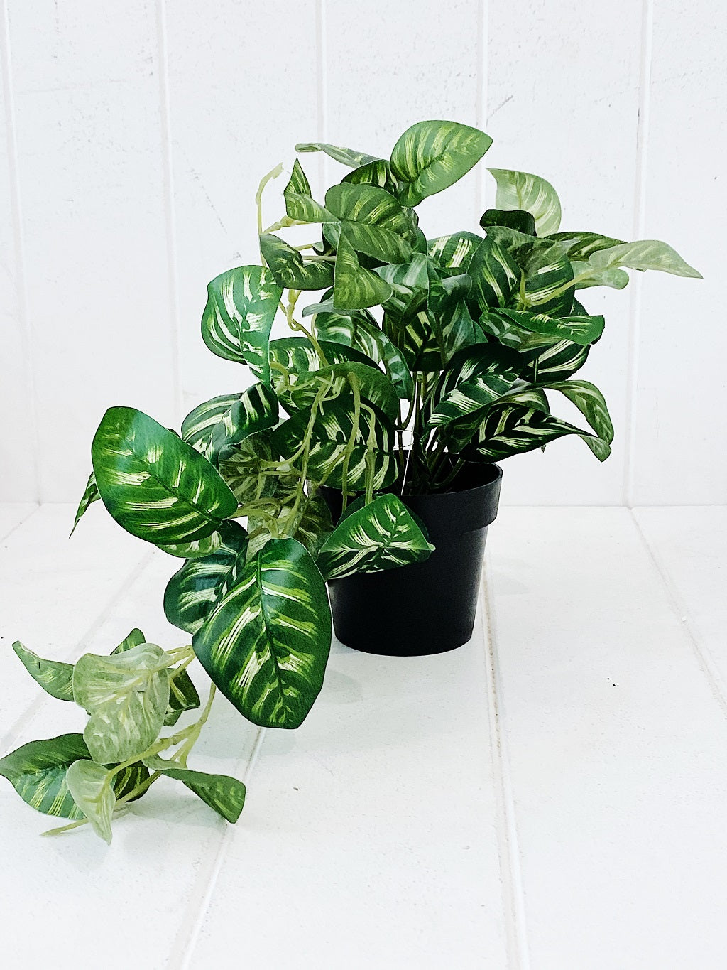 Liven up your indoor spaces with our Artificial Trailing Greenery in Pot. They cascade over an edge or tumble from the pot in a hanging basket, softening hard edges and adding colour and texture. Approx: 38cm.| Bliss Gifts &amp; Homewares | Unit 8, 259 Princes Hwy Ulladulla | South Coast NSW | Online Retail Gift &amp; Homeware Shopping | 0427795959, 44541523