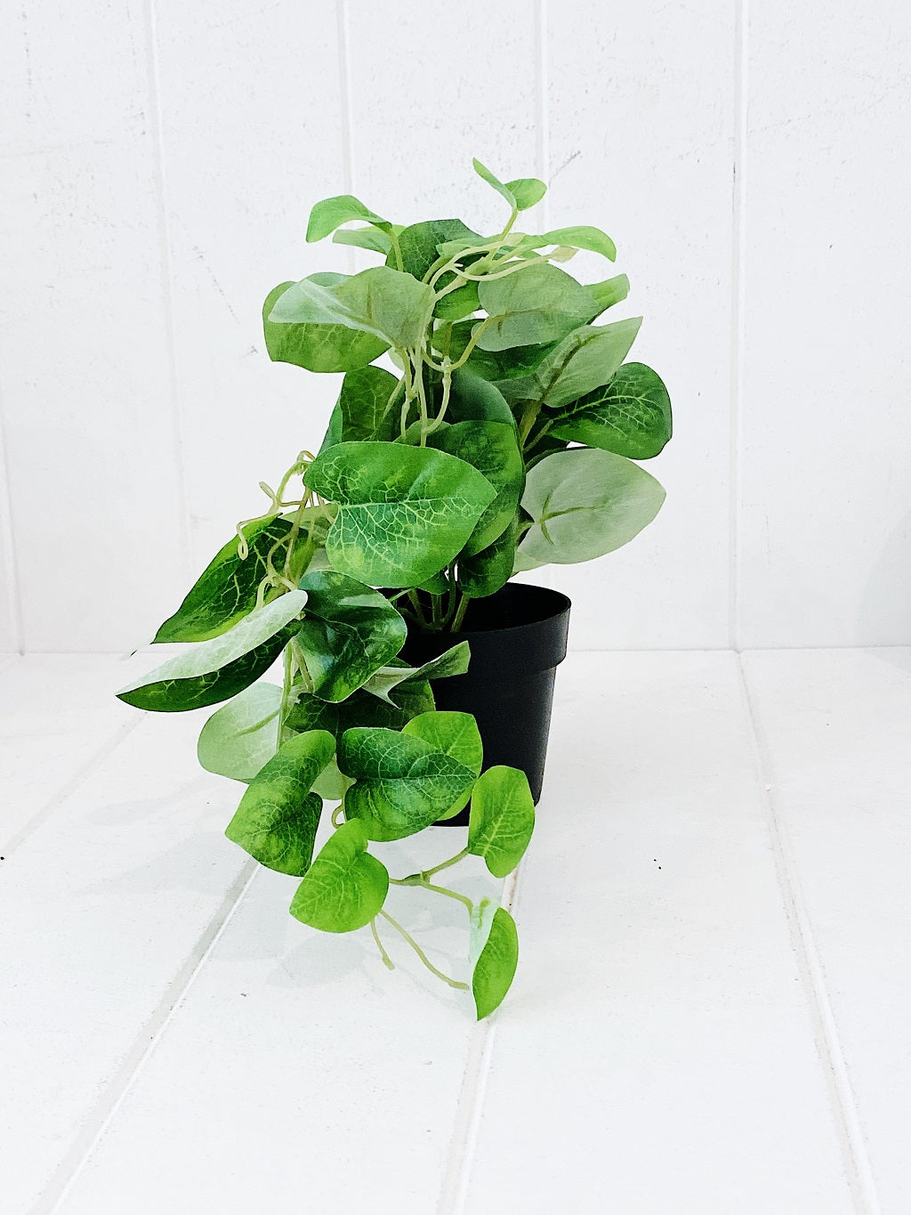 Liven up your indoor spaces with our Artificial Trailing Greenery in Pot. They cascade over an edge or tumble from the pot in a hanging basket, softening hard edges and adding colour and texture. Approx: 38cm.| Bliss Gifts &amp; Homewares | Unit 8, 259 Princes Hwy Ulladulla | South Coast NSW | Online Retail Gift &amp; Homeware Shopping | 0427795959, 44541523