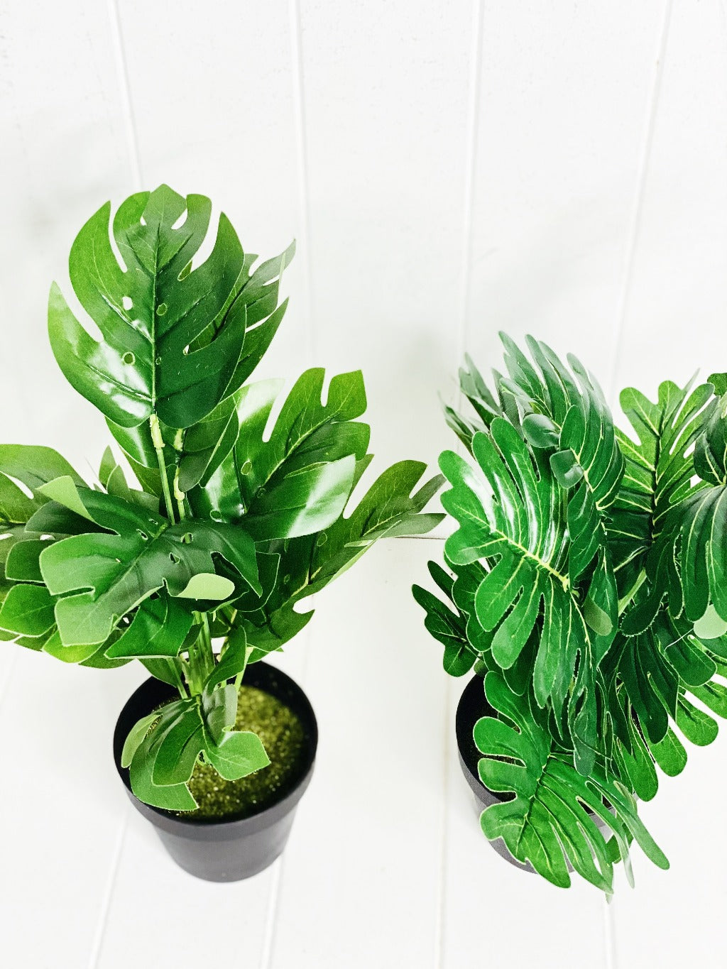 Liven up your indoor spaces with our Artificial Tropical Fern in black Pot. Perfect for a windowsill display or adding a splash of green to a bathroom or bedroom, without the hassle of maintenance.| Bliss Gifts &amp; Homewares | Unit 8, 259 Princes Hwy Ulladulla | South Coast NSW | Online Retail Gift &amp; Homeware Shopping | 0427795959, 44541523
