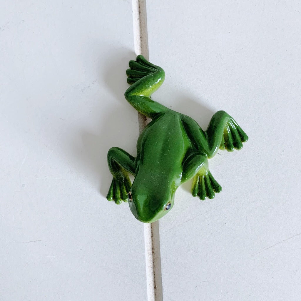 These cute realistic Climbing Green Tree Frogs look great placed around your garden or home. -Indoor or outdoor Ornament - 6cm.| Bliss Gifts &amp; Homewares | Unit 8, 259 Princes Hwy Ulladulla | South Coast NSW | Online Retail Gift &amp; Homeware Shopping | 0427795959, 44541523