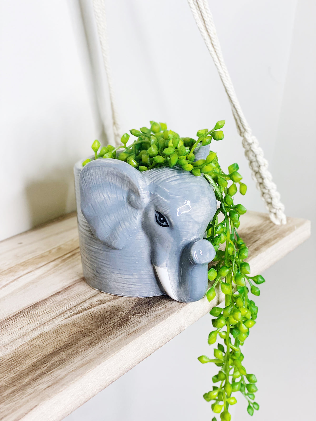 Ceramic Elephant Pot | Indoor Plant Holder Australia