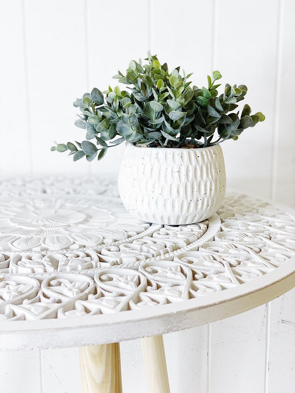 Liven up your indoor spaces with our Eucalyptus Bush in Speckled Ceramic Pot. With its speckle vase, it will add texture and colour to any room. Great for adding a splash of colour to a bathroom or windowsill. Shop Online. AfterPay Available. Australia Wide Shipping | Bliss Gifts &amp; Homewares - Unit 8, 259 Princes Hwy Ulladulla - 0427795959, 44541523