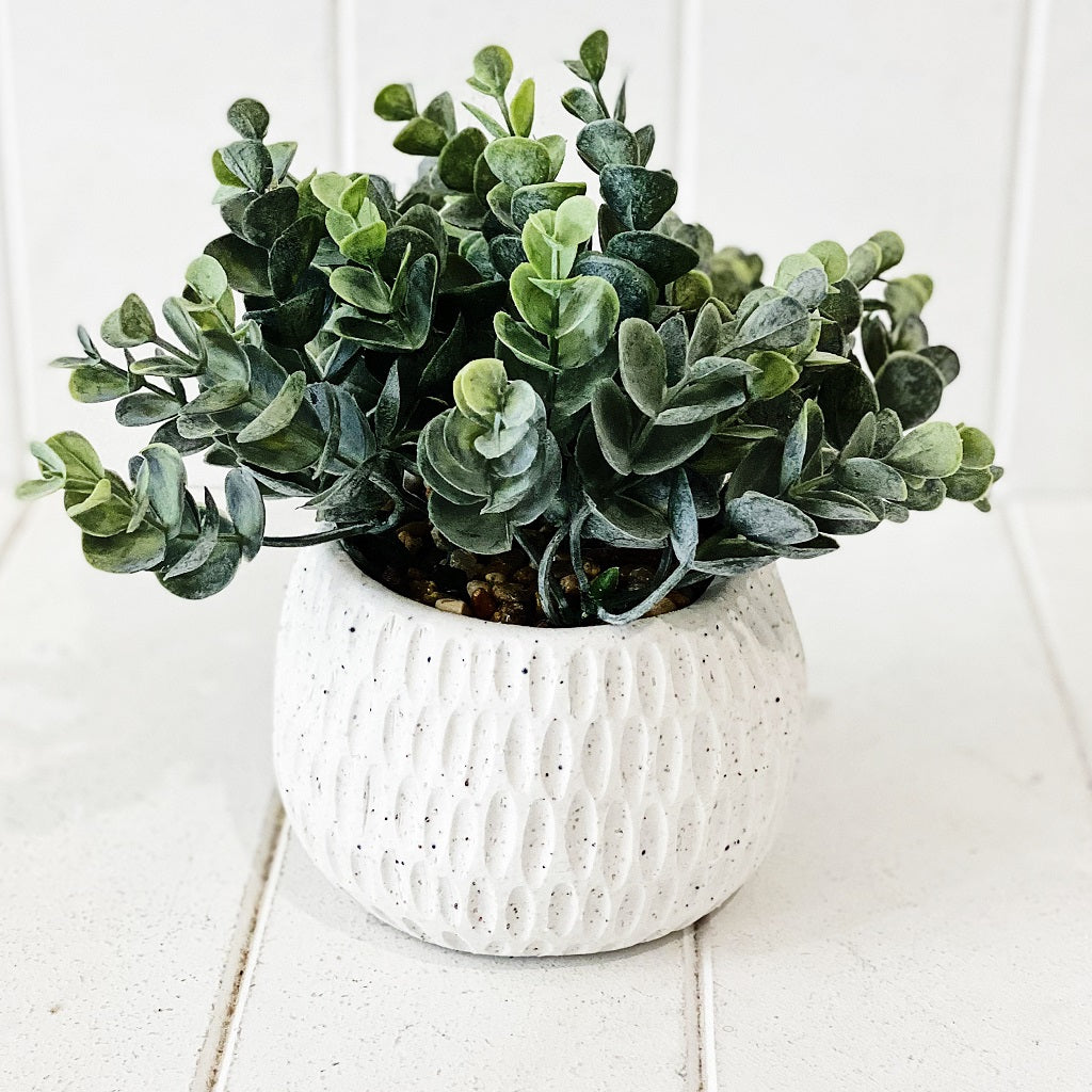 Liven up your indoor spaces with our Eucalyptus Bush in Speckled Ceramic Pot. With its speckle vase, it will add texture and colour to any room. Great for adding a splash of colour to a bathroom or windowsill. Shop Online. AfterPay Available. Australia Wide Shipping | Bliss Gifts &amp; Homewares - Unit 8, 259 Princes Hwy Ulladulla - 0427795959, 44541523