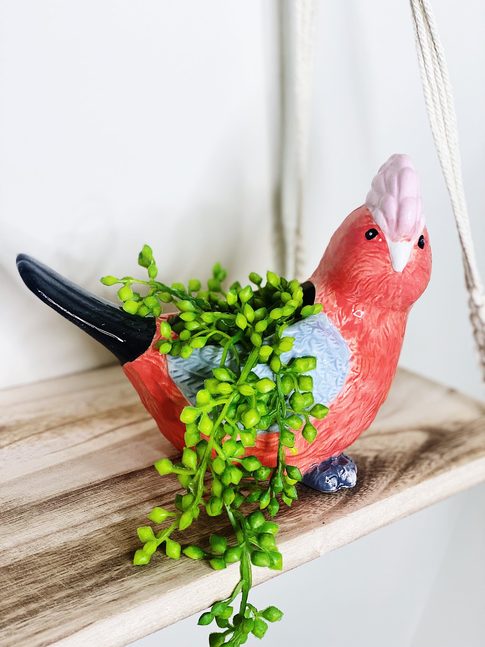 Add some fun to your garden with our Glenda Galah Ceramic Pot. This gorgeous pot is fun, colourful and a great addition to any home or garden. Features: 19.8x10x14.5cm.| Bliss Gifts & Homewares | Unit 8, 259 Princes Hwy Ulladulla | South Coast NSW | Online Retail Gift & Homeware Shopping | 0427795959, 44541523