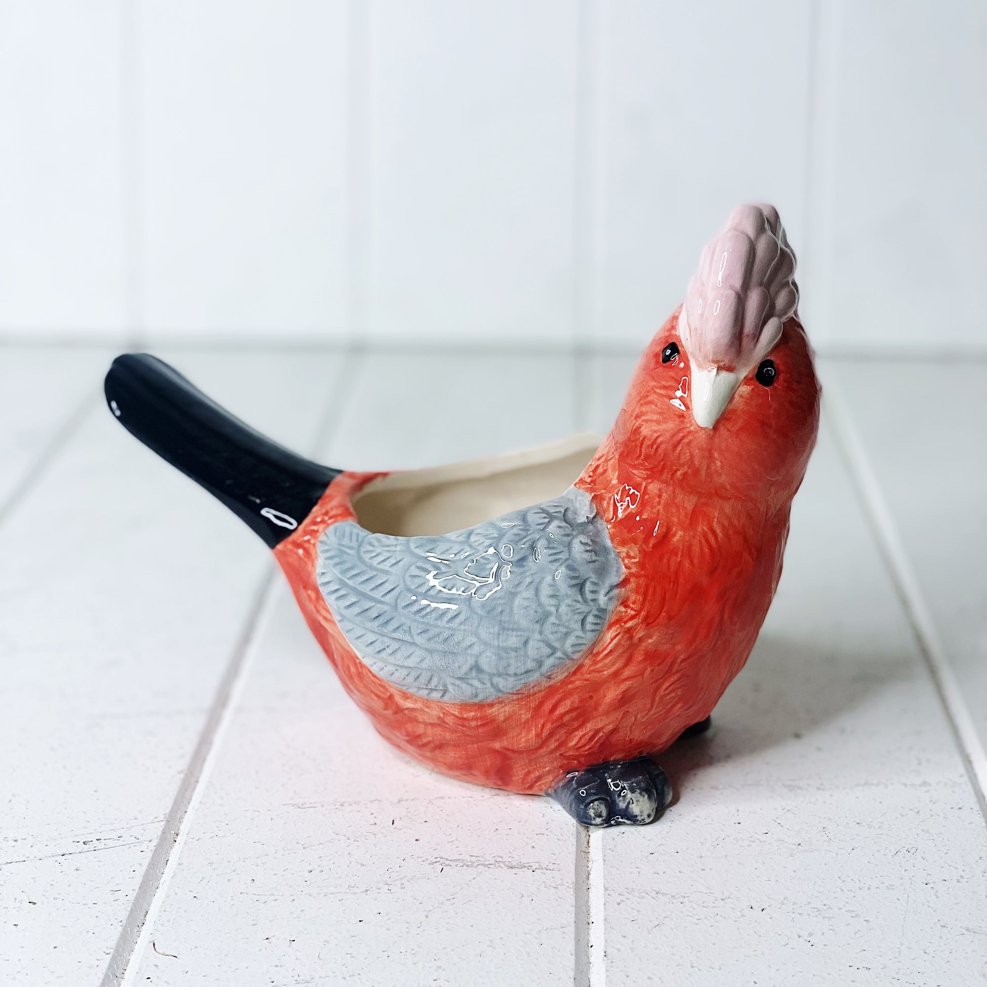 Add some fun to your garden with our Glenda Galah Ceramic Pot. This gorgeous pot is fun, colourful and a great addition to any home or garden. Features: 19.8x10x14.5cm.| Bliss Gifts & Homewares | Unit 8, 259 Princes Hwy Ulladulla | South Coast NSW | Online Retail Gift & Homeware Shopping | 0427795959, 44541523