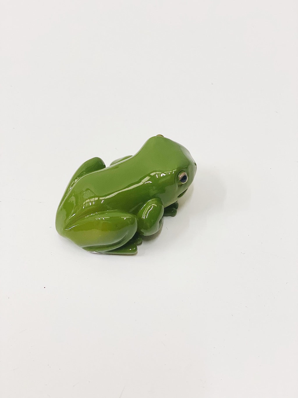 Aussie Wildlife Frog Art