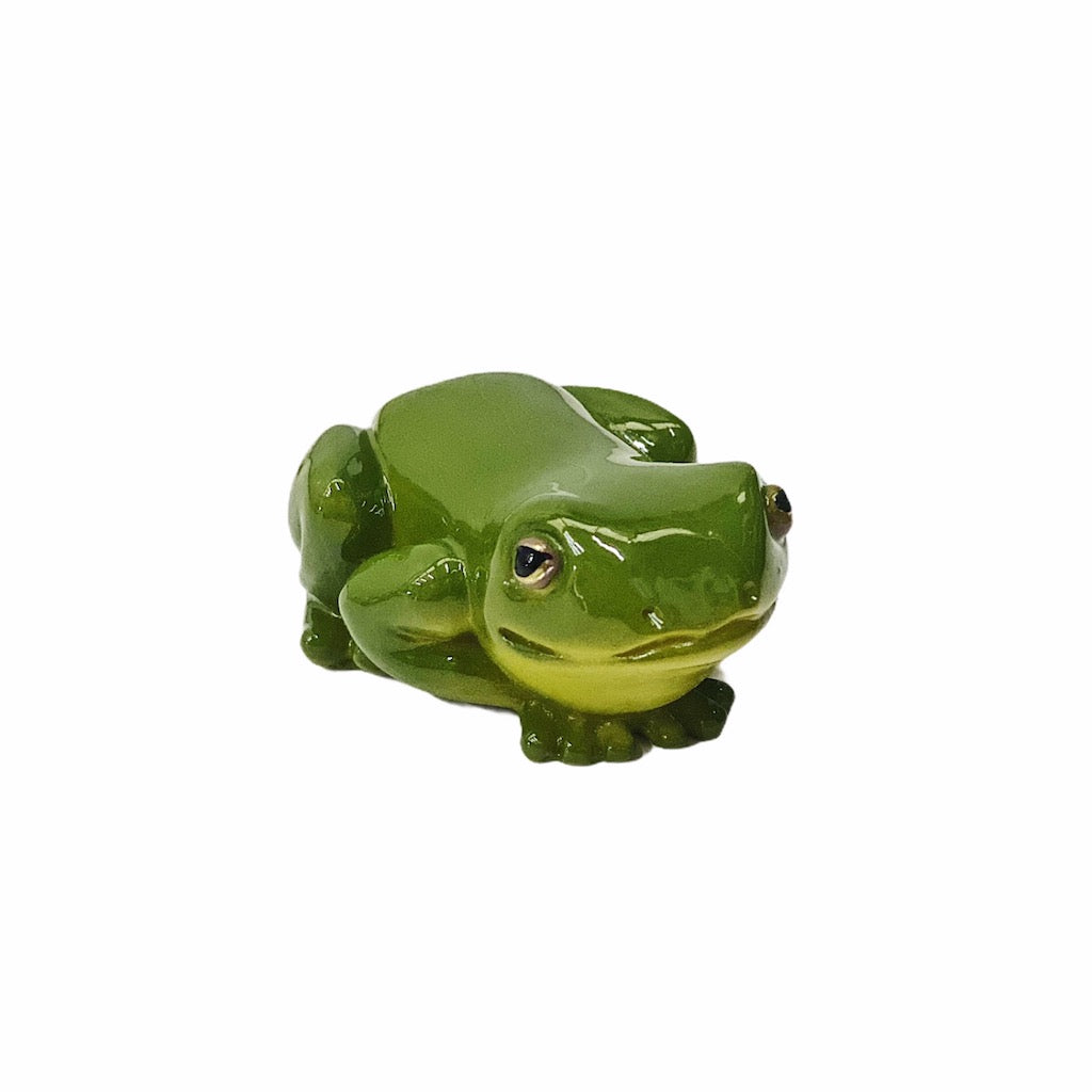 Bring some life to your garden or flower pots with these cute realistic Green Tree Frogs. They will look great placed around your home, garden or in flower pots. Large 8cm Small 5.5cm. Perfect for indoor and outdoor use. Made from Poly Resin. Gloss finish. Shop online. AfterPay available. Australia wide Shipping | Bliss Gifts &amp; Homewares - Unit 8, 259 Princes Hwy Ulladulla - 0427795959, 44541523 