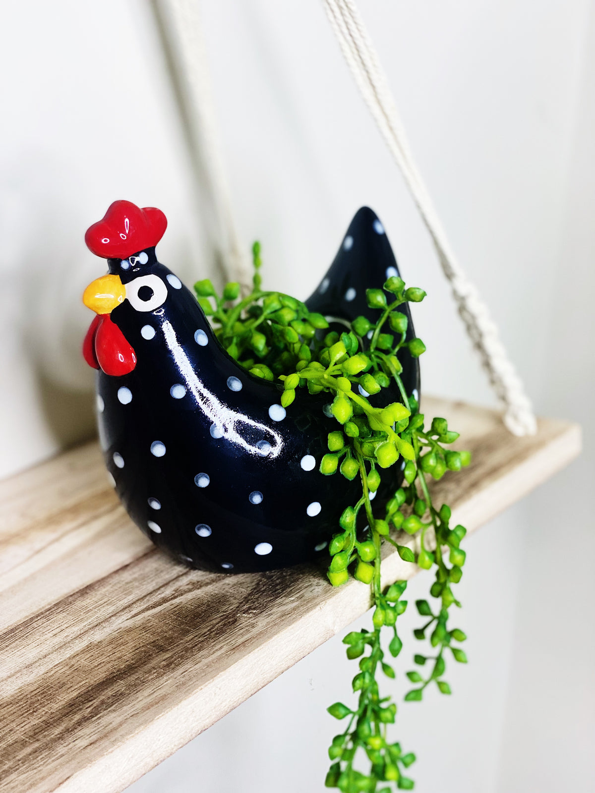 Add some fun to your garden with our Harriott Hen Ceramic Pot. This gorgeous pot is fun and a great addition to any home or garden.| Bliss Gifts &amp; Homewares | Unit 8, 259 Princes Hwy Ulladulla | South Coast NSW | Online Retail Gift &amp; Homeware Shopping | 0427795959, 44541523