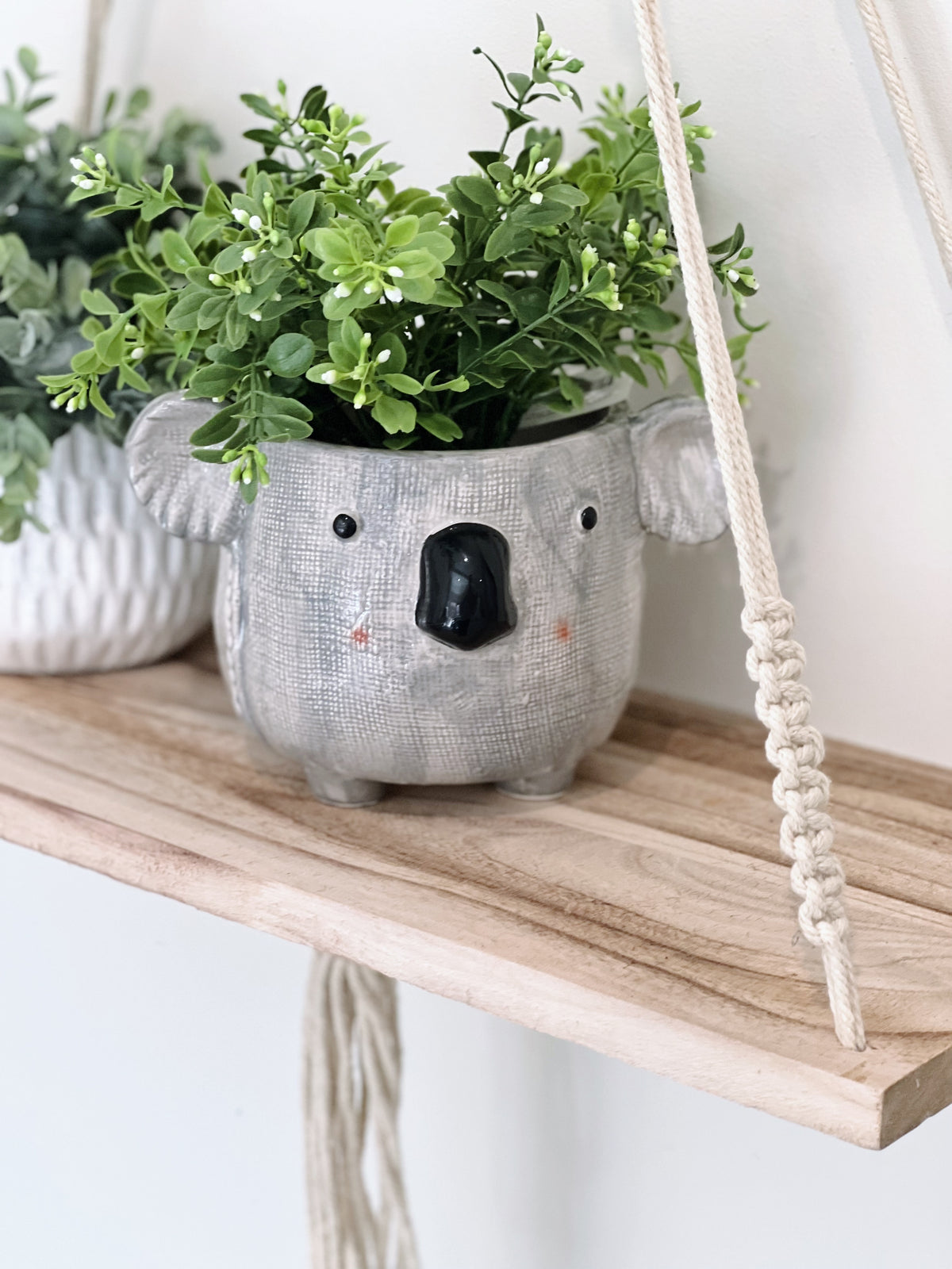 Add some fun to your garden with our Kai Koala Ceramic Pot. This gorgeous pot is fun, colourful and a great addition to any home or garden. 17.5x14.2x12cm. Ceramic, drainage hole and plug. | Bliss Gifts &amp; Homewares | Unit 8, 259 Princes Hwy Ulladulla | South Coast NSW | Online Retail Gift &amp; Homeware Shopping | 0427795959, 44541523.