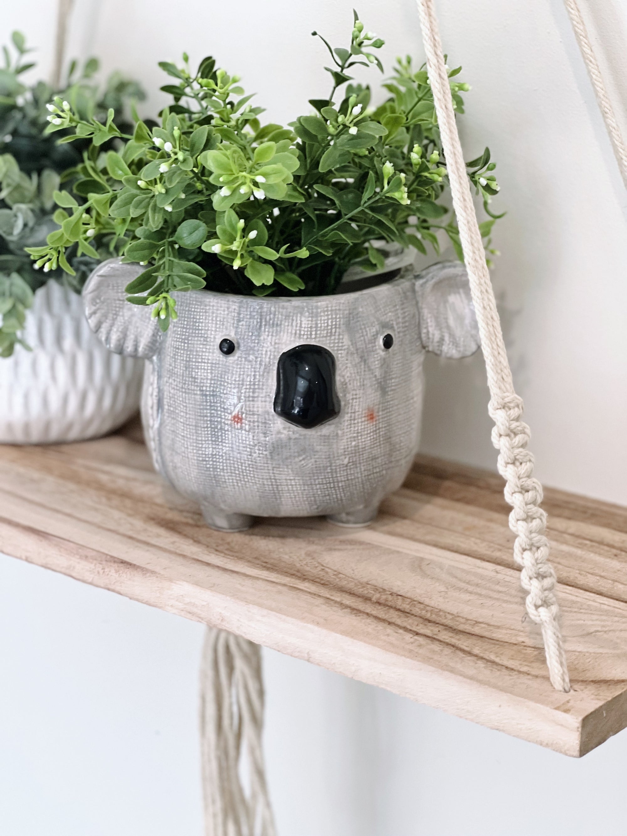 Kai Koala Pot - Aussie Home Decor