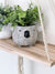 Kai Koala Pot - Aussie Home Decor