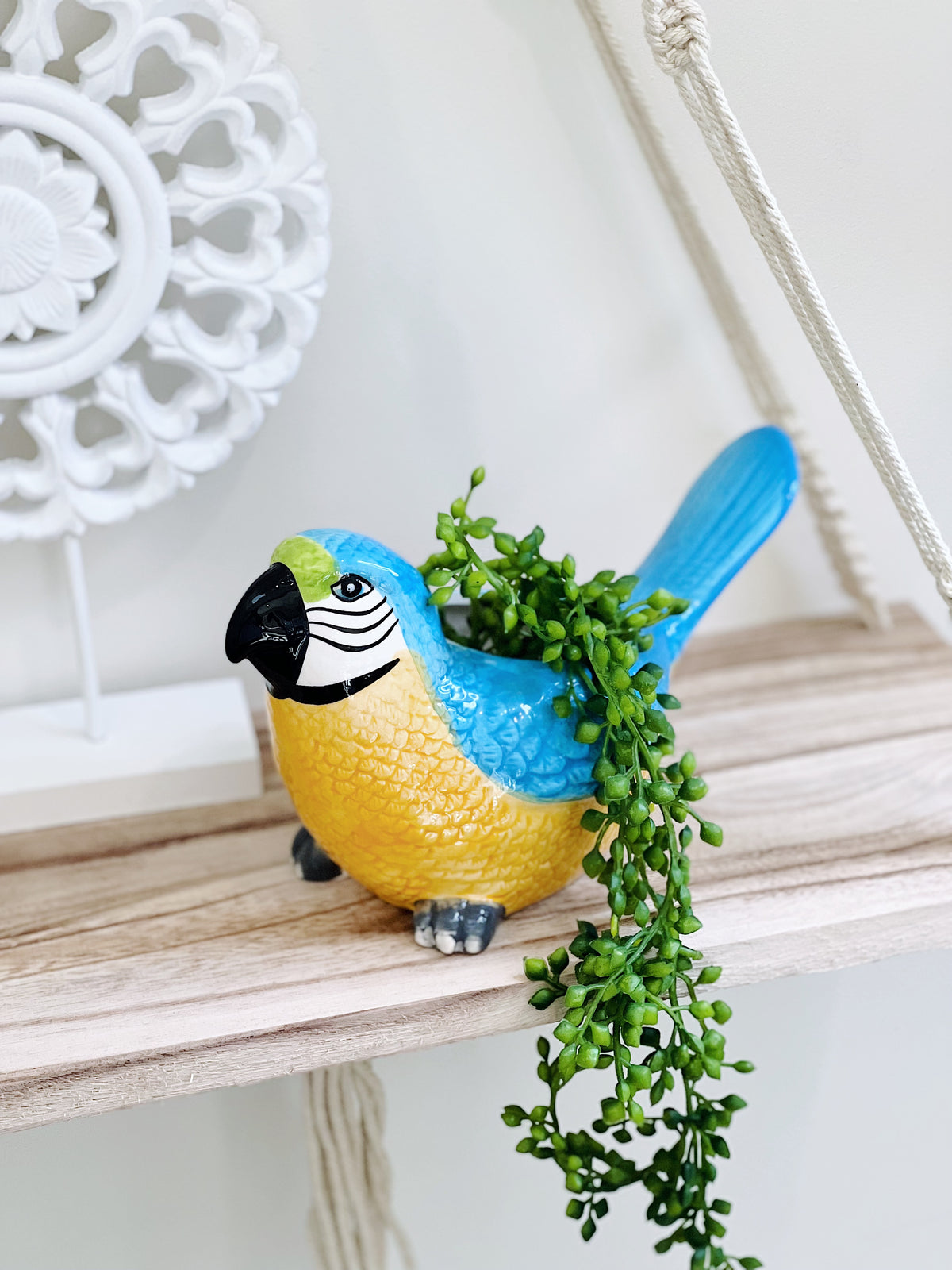 Add some fun to your garden with our Marcello Macaw Ceramic Pot. This gorgeous pot is fun, colourful and a great addition to any home or garden. 21x10x12.5cm. Ceramic, drainage hole and plug. | Bliss Gifts &amp; Homewares | Unit 8, 259 Princes Hwy Ulladulla | South Coast NSW | Online Retail Gift &amp; Homeware Shopping | 0427795959, 44541523