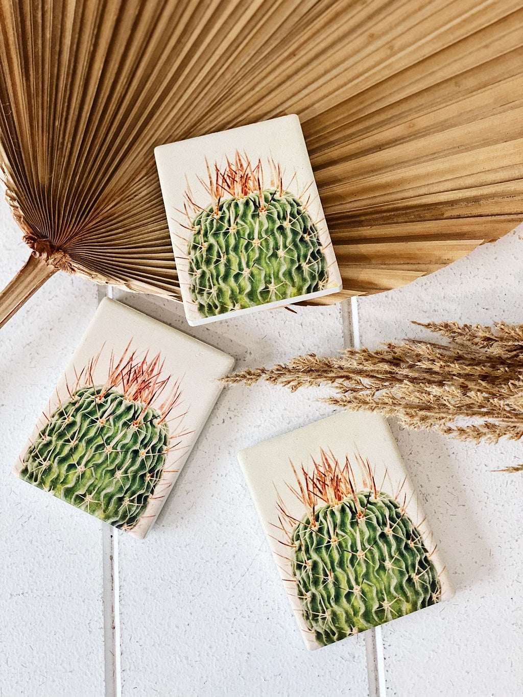The Natural Oasis “Spiky Ceramic Magnet” is the perfect way to show you care. This magnet is the sweetest gift as a small token of appreciation. 6.2cm x 8.2cm. Spike cactus. Shop online. AfterPay available. Australia wide Shipping | Bliss Gifts &amp; Homewares - Unit 8, 259 Princes Hwy Ulladulla - 0427795959, 44541523