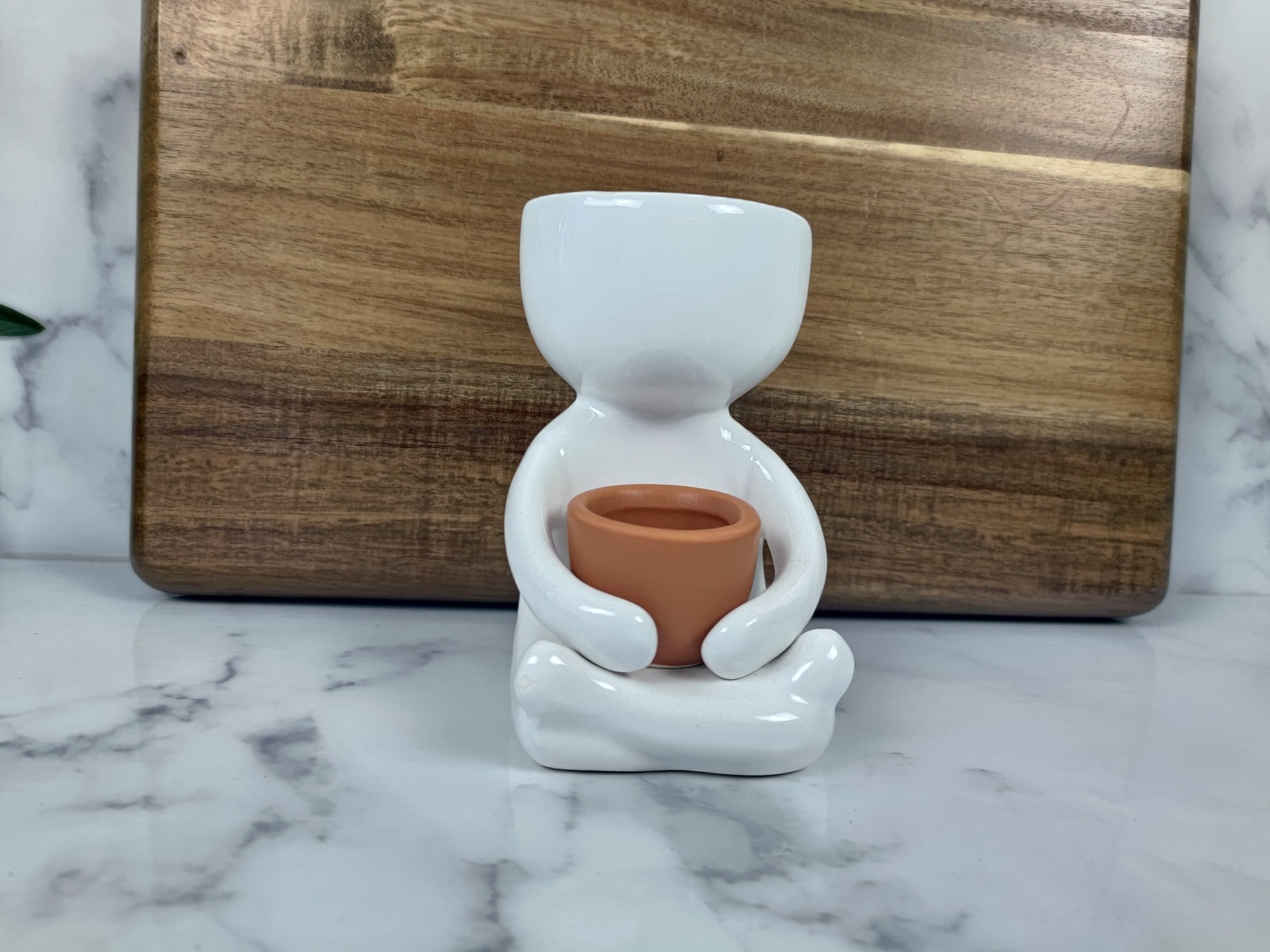 David Sculpture Pot | Decorative Planter Australia