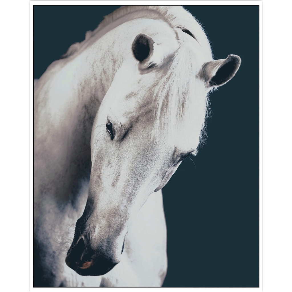 Bring a touch of farmhouse charm to your walls with our Purity Horse Framed Canvas. This design showcases a close up portrait of a horse with a deep emerald background for that extra luxe look and would compliment any home style. 80x100cm. | Bliss Gifts &amp; Homewares | Unit 8, 259 Princes Hwy Ulladulla | South Coast NSW | Online Retail Gift &amp; Homeware Shopping | 0427795959, 44541523