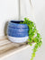 Add some colour to your home or garden with our beautiful Riviera Ceramic Pot. With it's beautiful colour and texture, it is sure to look amazing in any space featuring a cement look around the base to help showcase your plant or flowers.| Bliss Gifts & Homewares | Unit 8, 259 Princes Hwy Ulladulla | South Coast NSW | Online Retail Gift & Homeware Shopping | 0427795959, 44541523