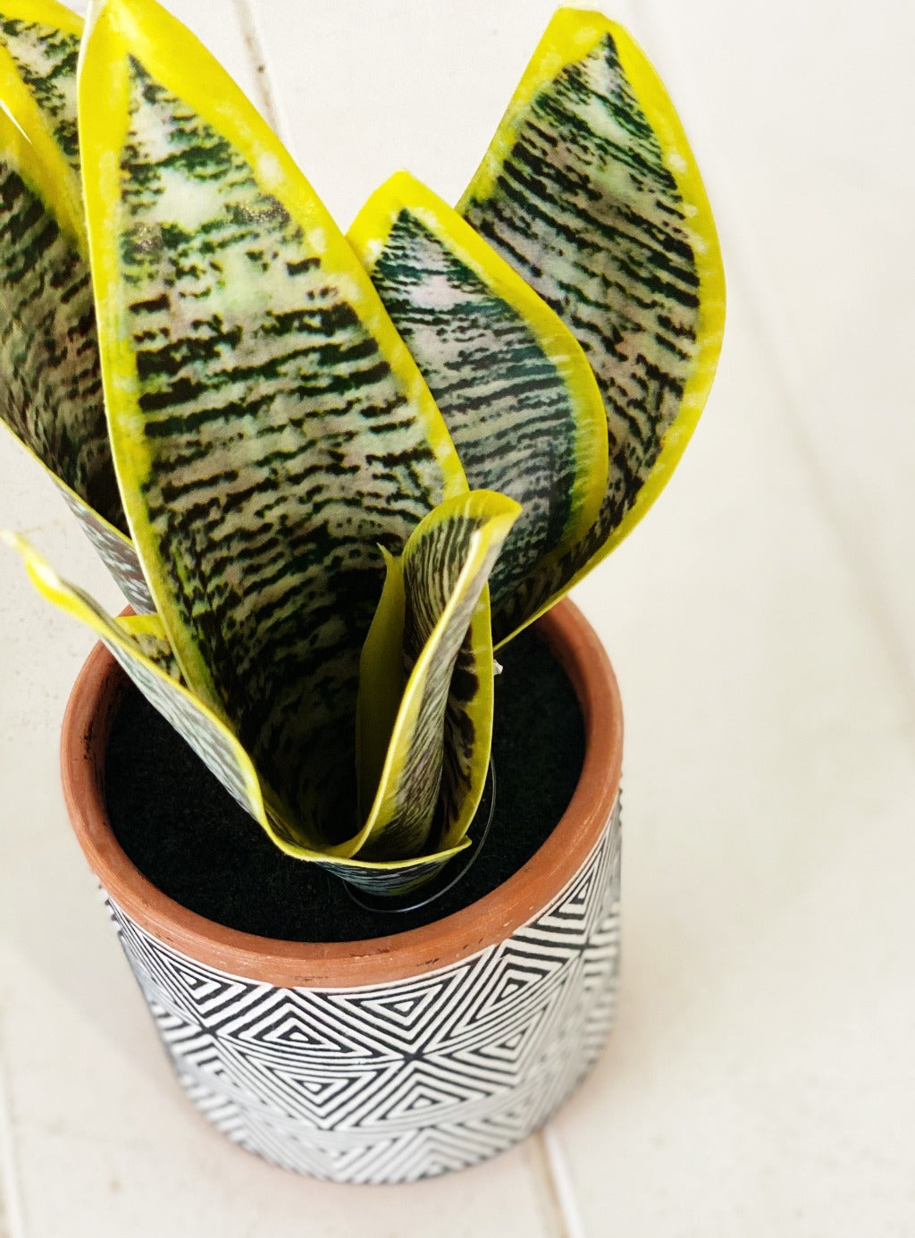 Bring a bit of botanical beauty into your abode with this faux Sansevieria in Terracotta Pot. Set within a round terracotta pot finished in a black &amp; white pattern, this piece is crafted from plastic in shades of green to mimic the look of Sansevieria. 23cm.| Bliss Gifts &amp; Homewares | Unit 8, 259 Princes Hwy Ulladulla | South Coast NSW | Online Retail Gift &amp; Homeware Shopping | 0427795959, 44541523