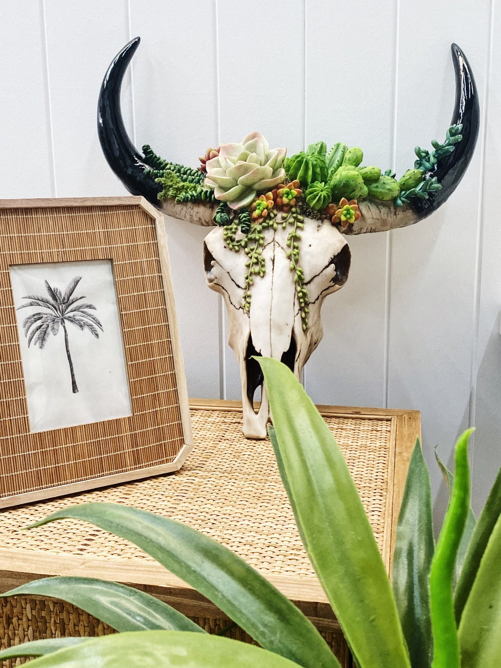 Our Succulent Cow Skull has a 3 dimensional pattern to give depth. This realistic looking sculpture is lightweight and easily wall mounted. It comes ready to hang with screws and drilling template.| Bliss Gifts &amp; Homewares | Unit 8, 259 Princes Hwy Ulladulla | South Coast NSW | Online Retail Gift &amp; Homeware Shopping | 0427795959, 44541523