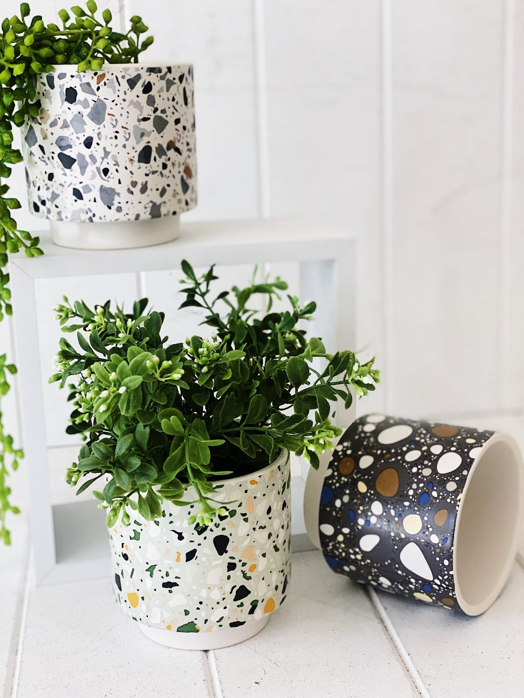 terrazzo pot plant Small Terrazzo Pots | Modern Ceramic Indoor & Outdoor Planters