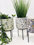 Showcase your favourite plants, succulents, and flowers with the beautiful and unique Terrazzo Pots on Stand in Small. Approx size: 14x14x14.3cm. Ceramic. Drainage hole and plug for your convenience. Shop Online & In-store. AfterPay Available. Australia Wide Shipping | Bliss Gifts & Homewares | Unit 8, 259 Princes Hwy Ulladulla | South Coast NSW | 0427795959, 44541523