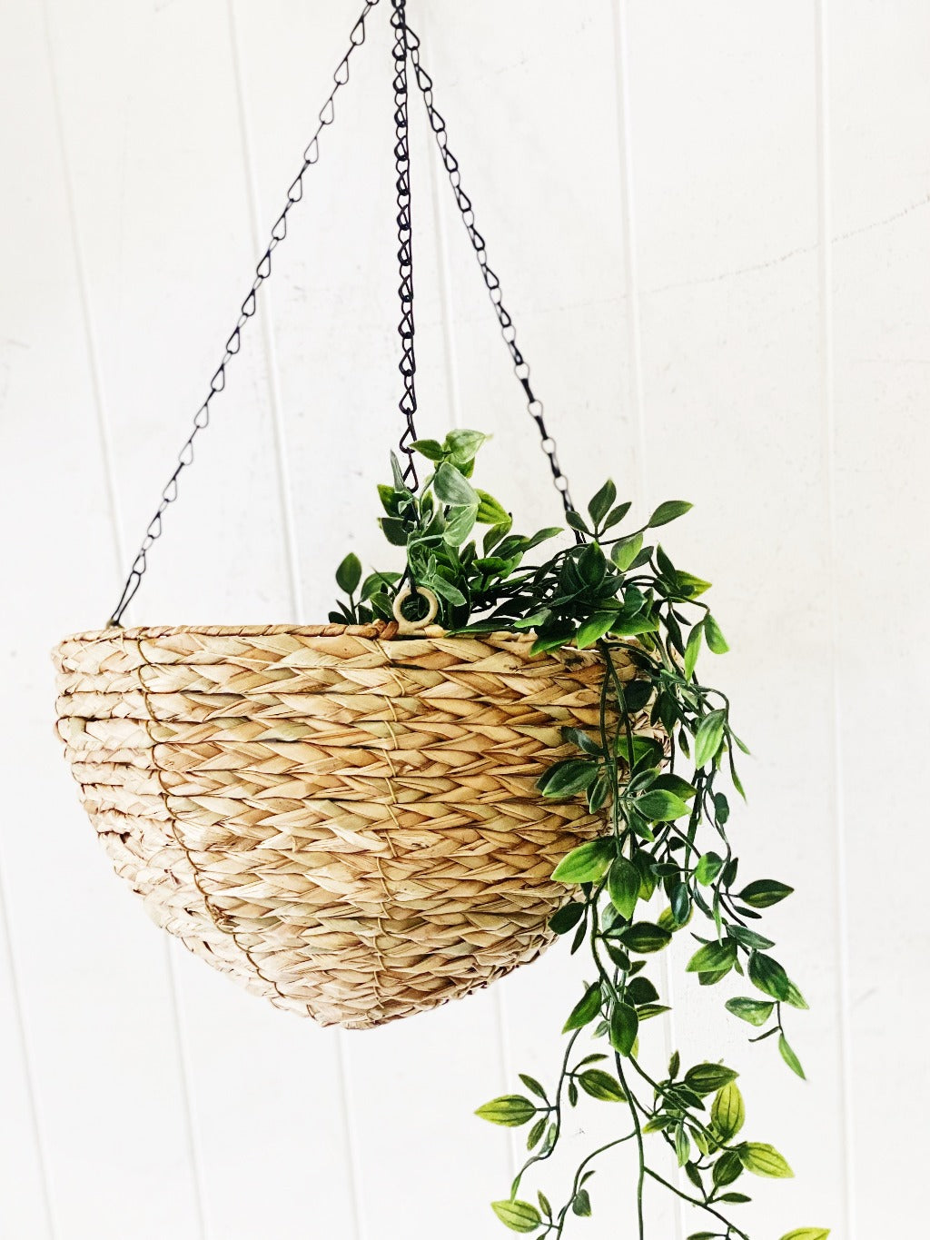 Create a statement in your home with our Water Hyacinth Woven Hanging Basket. Perfect for creating a natural coastal outdoor garden. Perfect for water-wise gardening with a plastic inner liner so there is no water spillage.| Bliss Gifts & Homewares | Unit 8, 259 Princes Hwy Ulladulla | South Coast NSW | Online Retail Gift & Homeware Shopping | 0427795959, 44541523