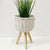 Elevate the look of your plant or floral display with our White Wicker pot Holder - Small. Indoor plants are on trend and our stylish Wicker planters are perfect for showing off your gorgeous greenery. Shop online. AfterPay available. Australia wide Shipping. | Bliss Gifts & Homewares | Unit 8, 259 Princes Hwy Ulladulla | South Coast NSW | 0427795959, 44541523