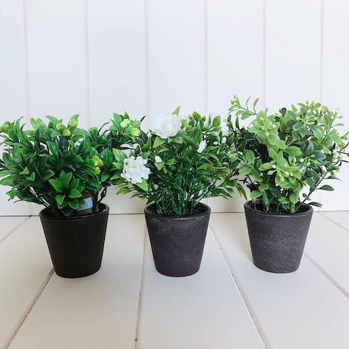 Our artificial potted greenery is perfect for adding some colour to your shelves, or hard to grow places. Pair with one of our many styles of pots and create a windowsill garden without the hassle of maintenance. 19cm.| Bliss Gifts &amp; Homewares | Unit 8, 259 Princes Hwy Ulladulla | South Coast NSW | Online Retail Gift &amp; Homeware Shopping | 0427795959, 44541523