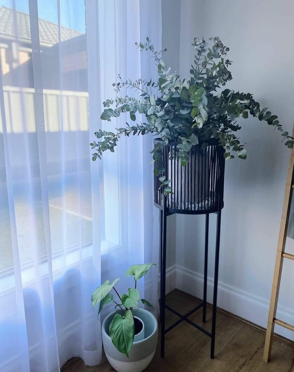 Rhythm Plant Stands - metal base - stunning black bamboo basket - Large: 35x100cm - Small: 35x80cm - Basket size: 31x31cm | Salt&amp;Pepper |Bliss Gifts &amp; Homewares - Unit 8, 259 Princes Hwy Ulladulla - Shop Online &amp; In store - 0427795959, 44541523 - Australia wide shipping 