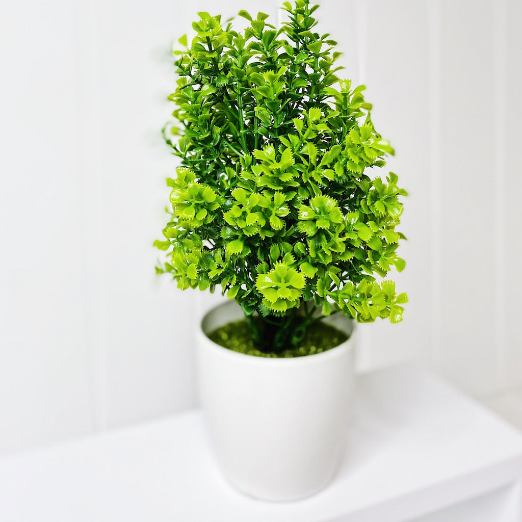 Our Small Shrub In Pot will make a great addition to any space in your home. Having greenery in your home is a great way to freshen up any space and give it new life. Available in 3 different designs. Golden Green White Measures approx: 20cm. | Bliss Gifts &amp; Homewares | Unit 8, 259 Princes Hwy Ulladulla | South Coast NSW | Online Retail Gift &amp; Homeware Shopping | 0427795959, 44541523