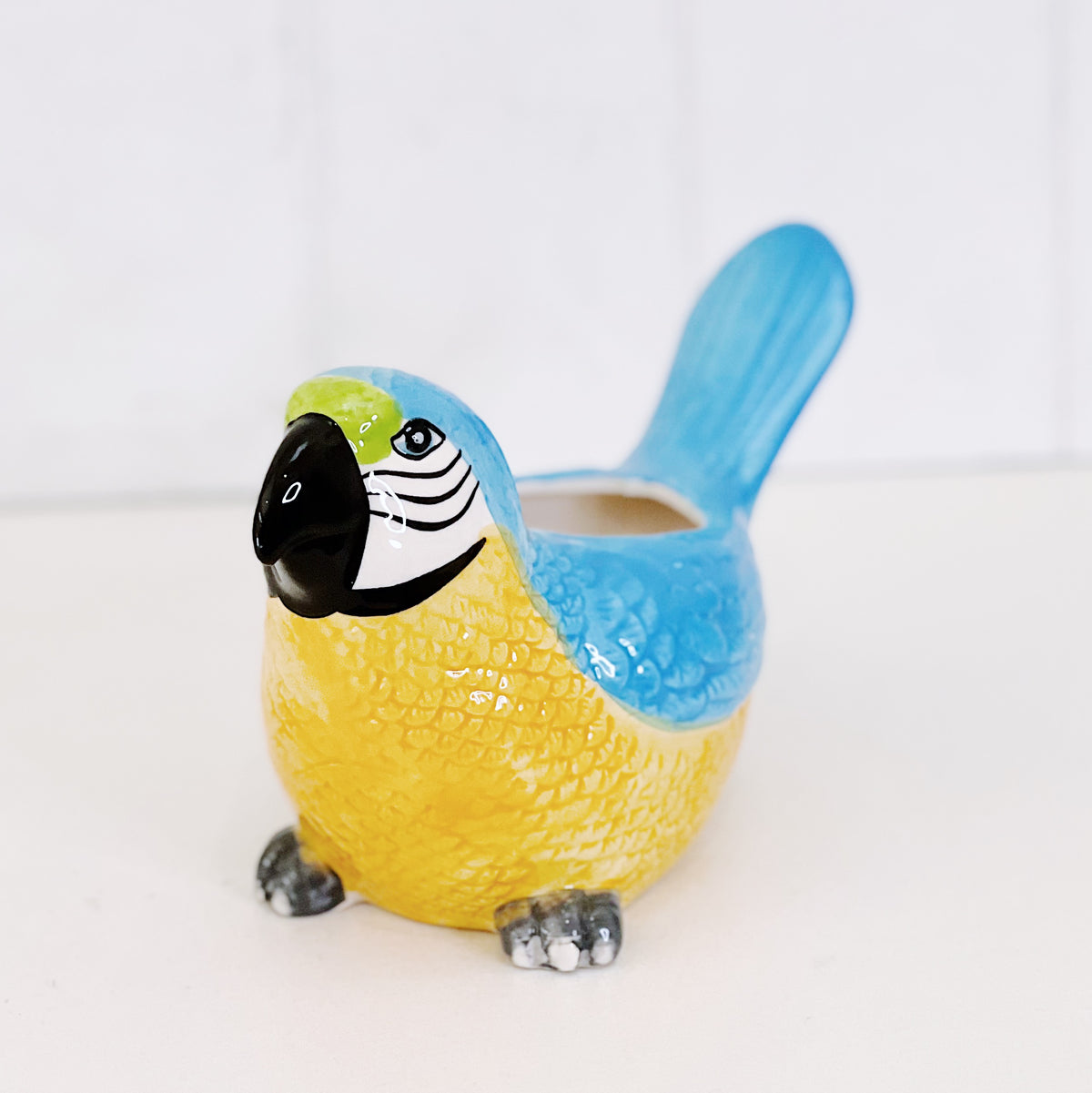 Add some fun to your garden with our Marcello Macaw Ceramic Pot. This gorgeous pot is fun, colourful and a great addition to any home or garden. 21x10x12.5cm. Ceramic, drainage hole and plug. | Bliss Gifts &amp; Homewares | Unit 8, 259 Princes Hwy Ulladulla | South Coast NSW | Online Retail Gift &amp; Homeware Shopping | 0427795959, 44541523