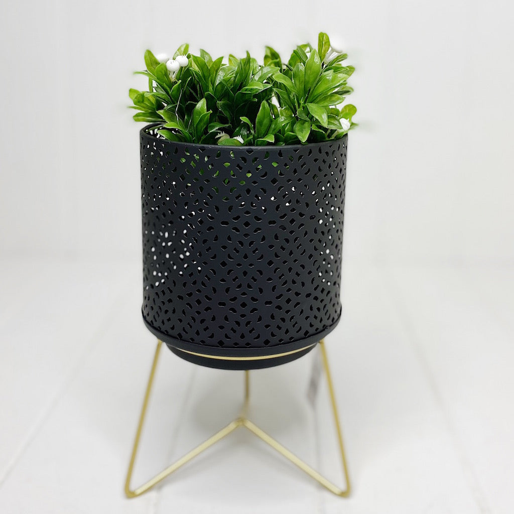 The Nadi Lantern/Planter in Black has gold accents that give it a modern appeal and makes it ideal for any space you&#39;d like. The perfect size for holding pillar candles or displaying other decorations, such as plants or otherwise.| Bliss Gifts &amp; Homewares | Unit 8, 259 Princes Hwy Ulladulla | South Coast NSW | Online Retail Gift &amp; Homeware Shopping | 0427795959, 44541523