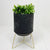 The Nadi Lantern/Planter in Black has gold accents that give it a modern appeal and makes it ideal for any space you'd like. The perfect size for holding pillar candles or displaying other decorations, such as plants or otherwise.| Bliss Gifts & Homewares | Unit 8, 259 Princes Hwy Ulladulla | South Coast NSW | Online Retail Gift & Homeware Shopping | 0427795959, 44541523