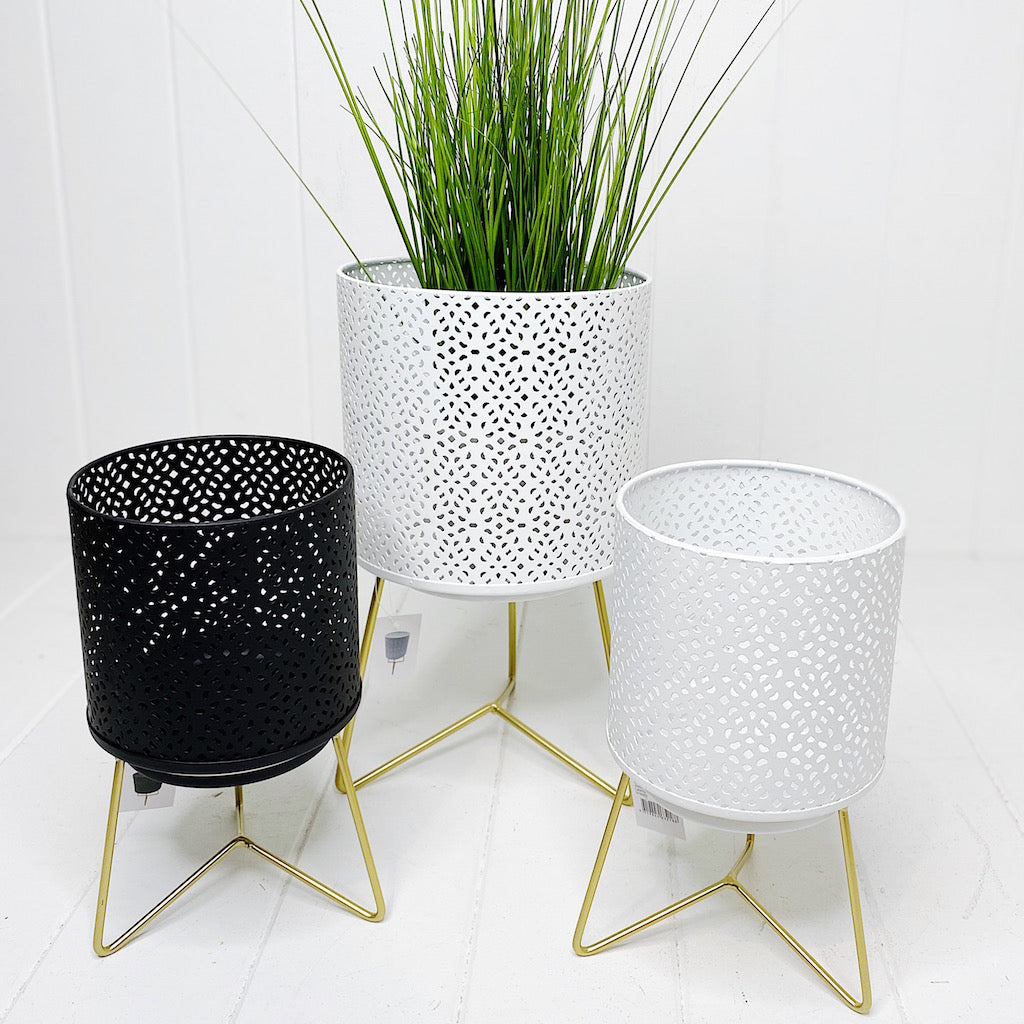 The Nadi Lantern/Planter in Black has gold accents that give it a modern appeal and makes it ideal for any space you&#39;d like. The perfect size for holding pillar candles or displaying other decorations, such as plants or otherwise.| Bliss Gifts &amp; Homewares | Unit 8, 259 Princes Hwy Ulladulla | South Coast NSW | Online Retail Gift &amp; Homeware Shopping | 0427795959, 44541523