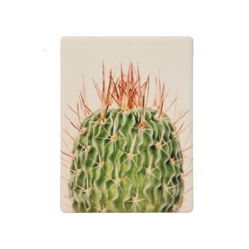 The Natural Oasis “Spiky Ceramic Magnet” is the perfect way to show you care. This magnet is the sweetest gift as a small token of appreciation. 6.2cm x 8.2cm. Spike cactus. Shop online. AfterPay available. Australia wide Shipping | Bliss Gifts &amp; Homewares - Unit 8, 259 Princes Hwy Ulladulla - 0427795959, 44541523