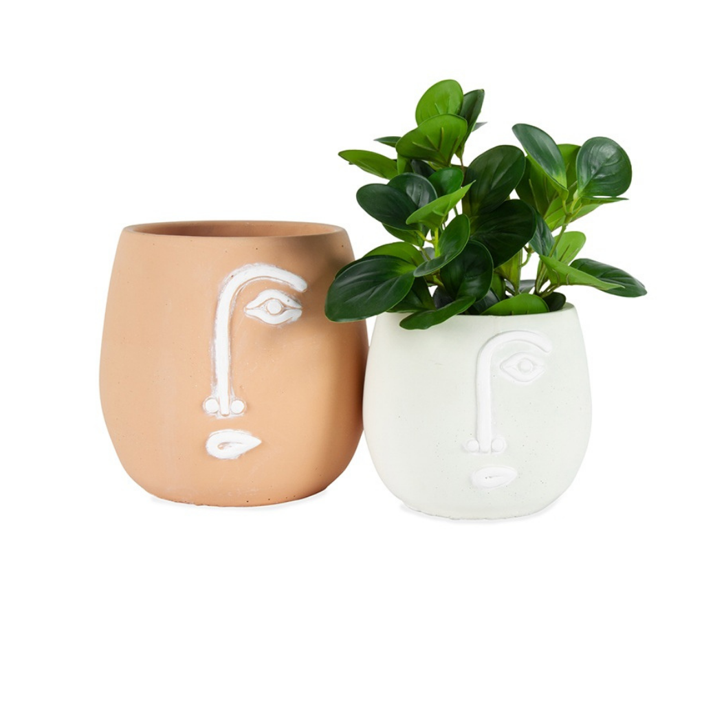 White Pablo Pot | Decorative Plant Container