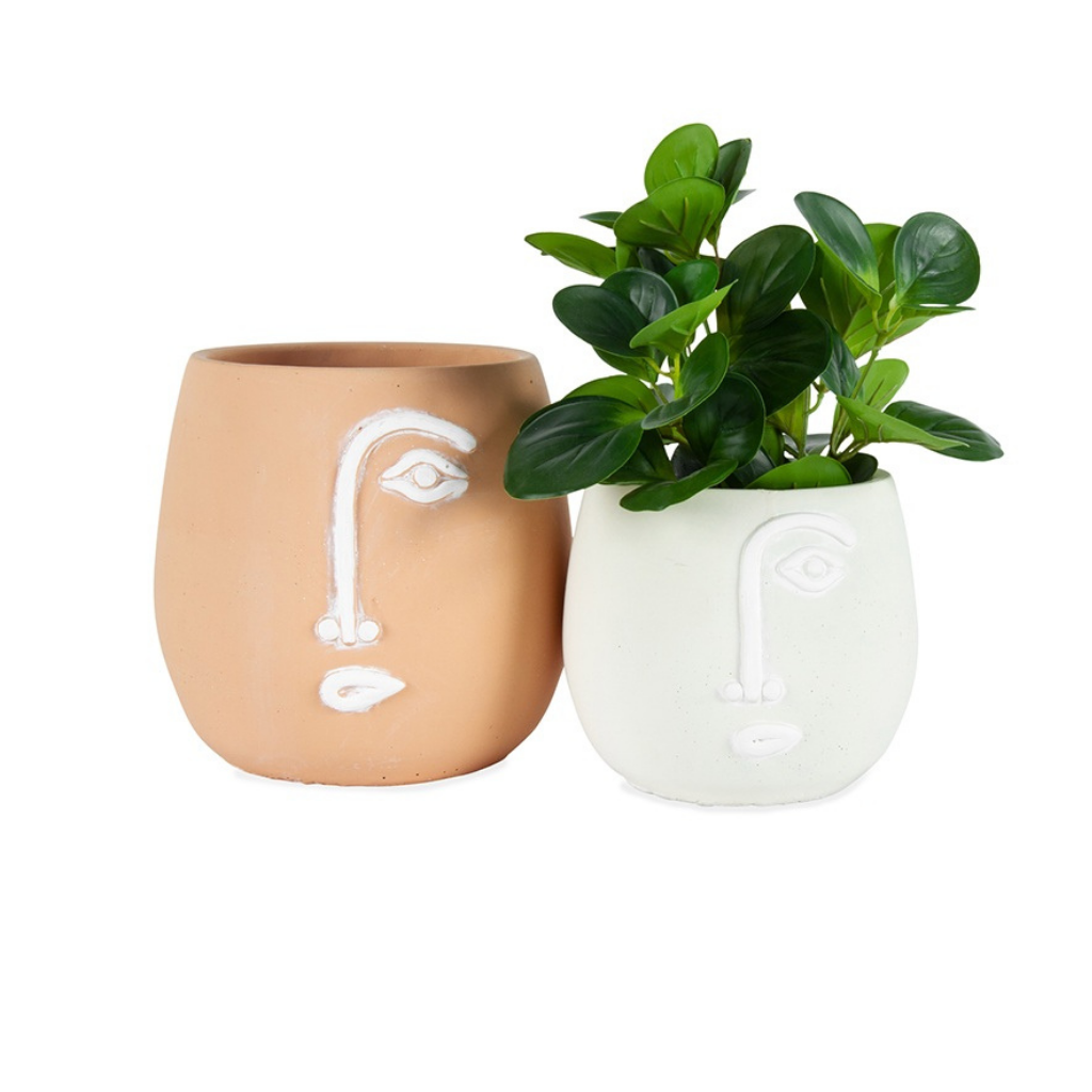 How quirky are our new Pablo Pots in White. The minimal concrete face planters with white detailing come with a drainage hole and plug for you convenience. Measures: 17x15cm. Material: Cement.| Bliss Gifts &amp; Homewares | Unit 8, 259 Princes Hwy Ulladulla | South Coast NSW | Online Retail Gift &amp; Homeware Shopping | 0427795959, 44541523