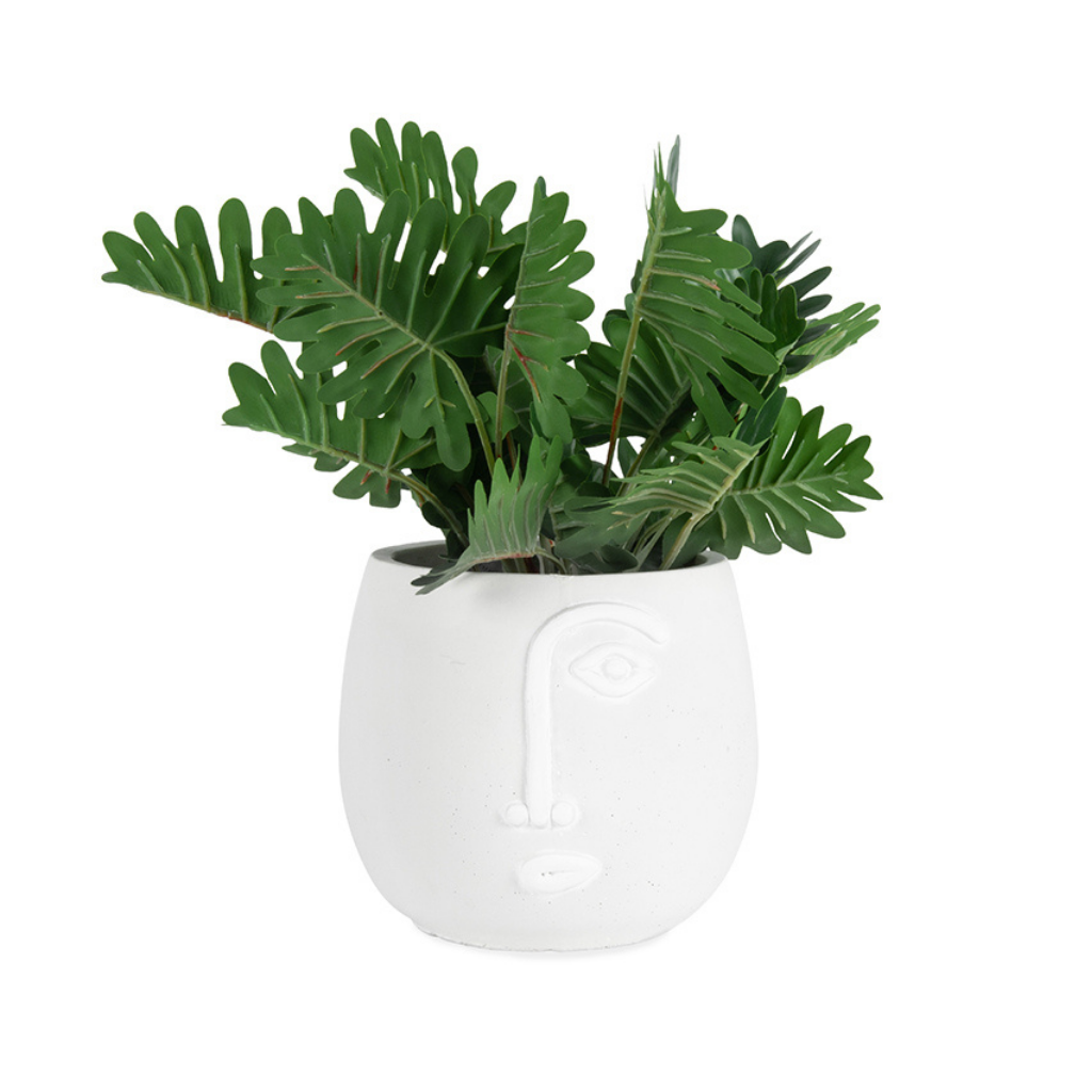How quirky are our new Pablo Pots in White. The minimal concrete face planters with white detailing come with a drainage hole and plug for you convenience. Measures: 17x15cm. Material: Cement.| Bliss Gifts &amp; Homewares | Unit 8, 259 Princes Hwy Ulladulla | South Coast NSW | Online Retail Gift &amp; Homeware Shopping | 0427795959, 44541523