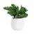 How quirky are our new Pablo Pots in White. The minimal concrete face planters with white detailing come with a drainage hole and plug for you convenience. Measures: 17x15cm. Material: Cement.| Bliss Gifts & Homewares | Unit 8, 259 Princes Hwy Ulladulla | South Coast NSW | Online Retail Gift & Homeware Shopping | 0427795959, 44541523