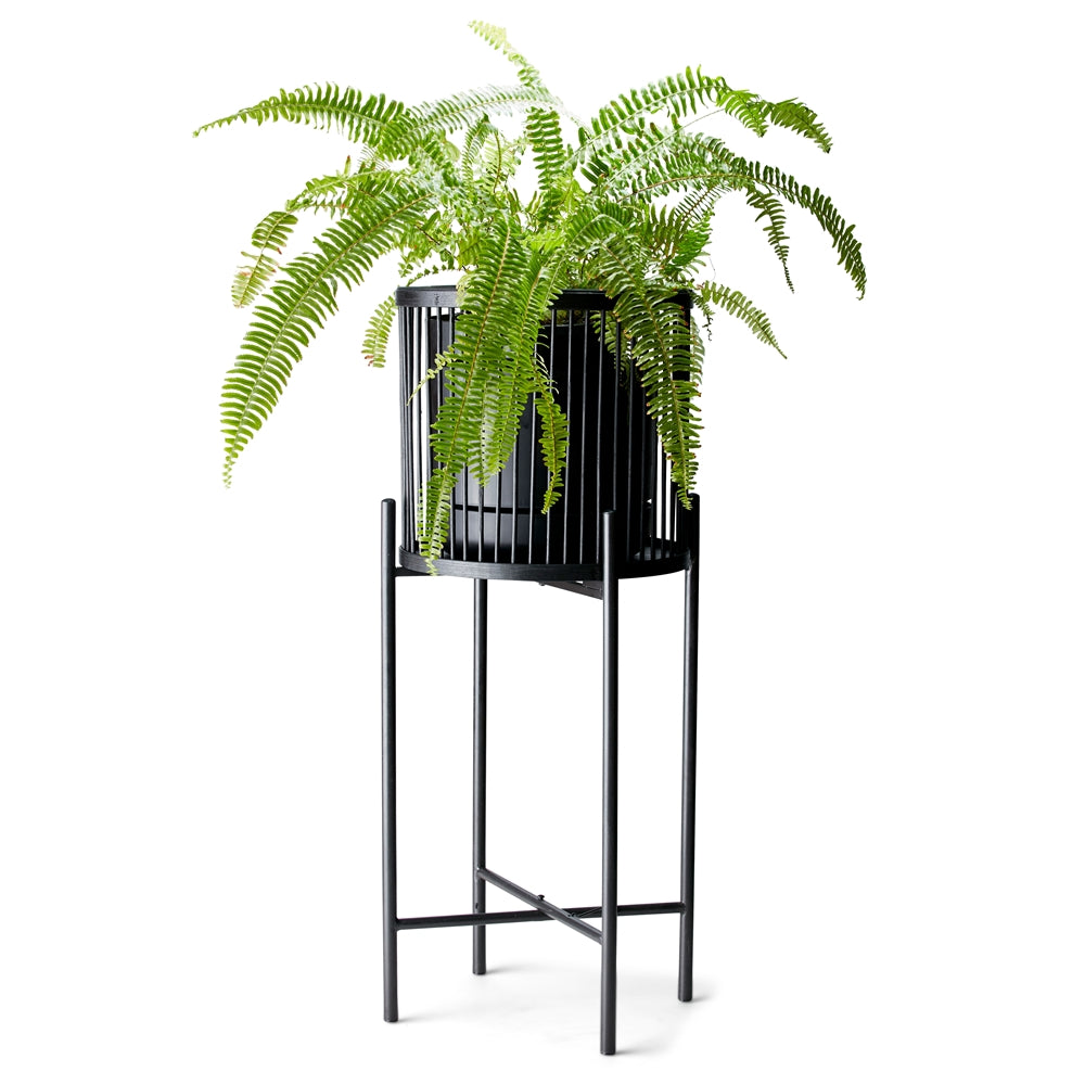 Rhythm Plant Stands - metal base - stunning black bamboo basket - Large: 35x100cm - Small: 35x80cm - Basket size: 31x31cm | Salt&amp;Pepper |Bliss Gifts &amp; Homewares - Unit 8, 259 Princes Hwy Ulladulla - Shop Online &amp; In store - 0427795959, 44541523 - Australia wide shipping 